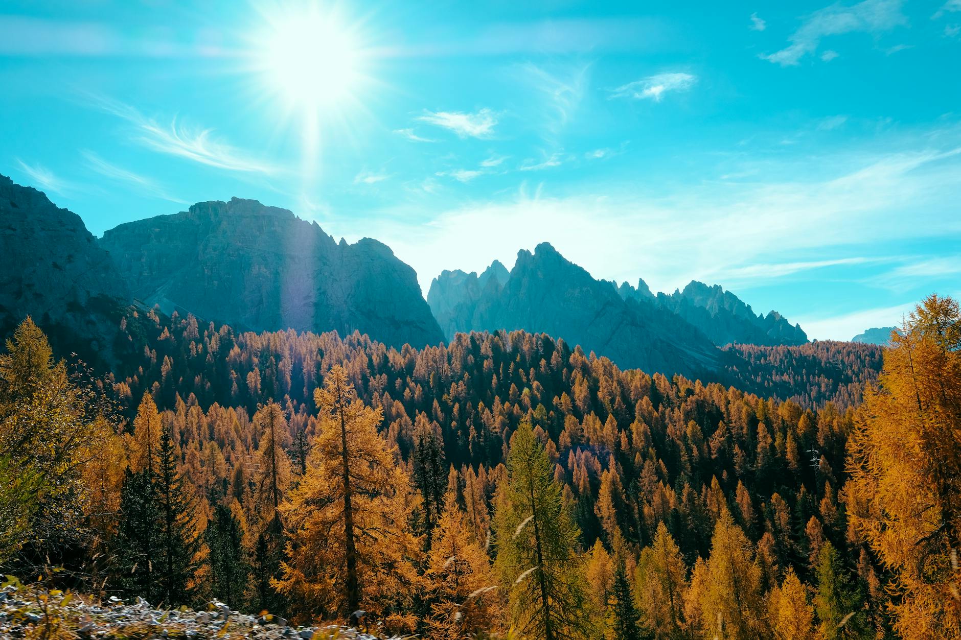 Jesienny górski las oświetlony słońcem podczas weekendowej wycieczki